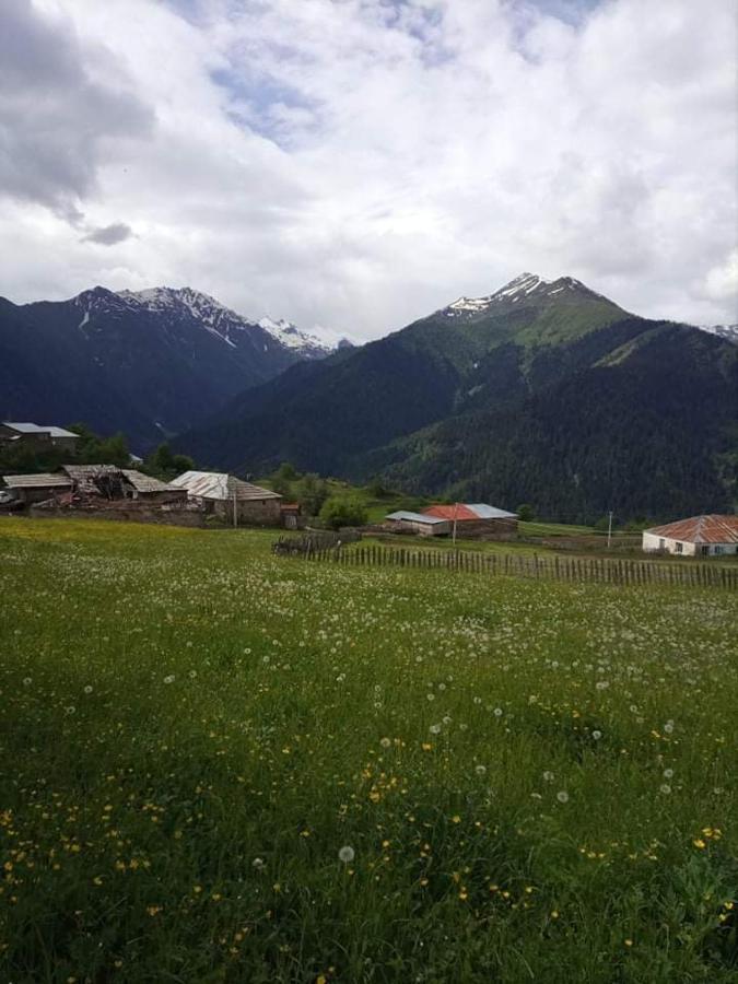 Shorena'S Homestay Tsvirmi Dış mekan fotoğraf