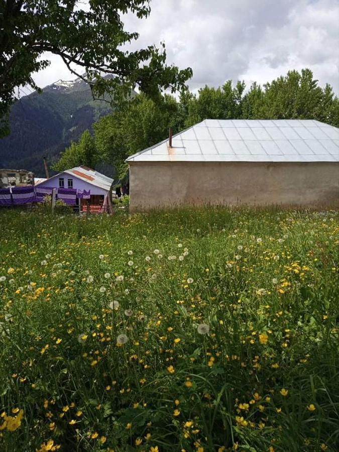 Shorena'S Homestay Tsvirmi Dış mekan fotoğraf