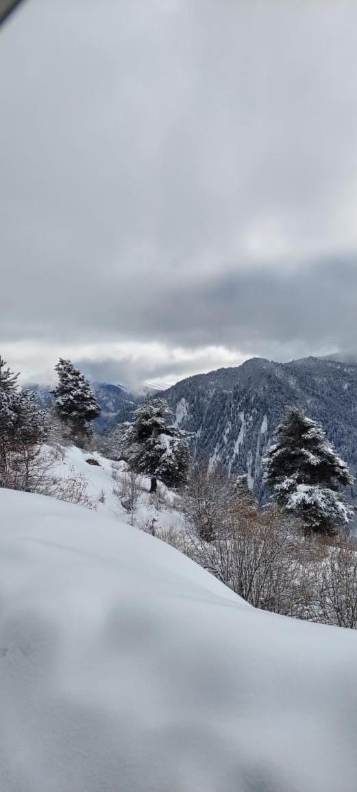 Shorena'S Homestay Tsvirmi Dış mekan fotoğraf