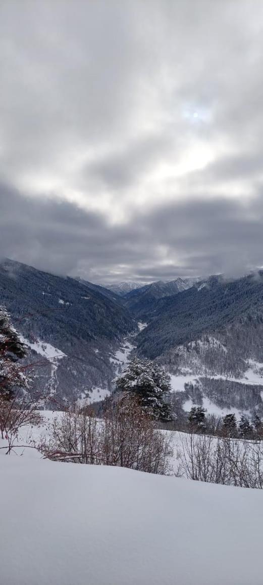 Shorena'S Homestay Tsvirmi Dış mekan fotoğraf
