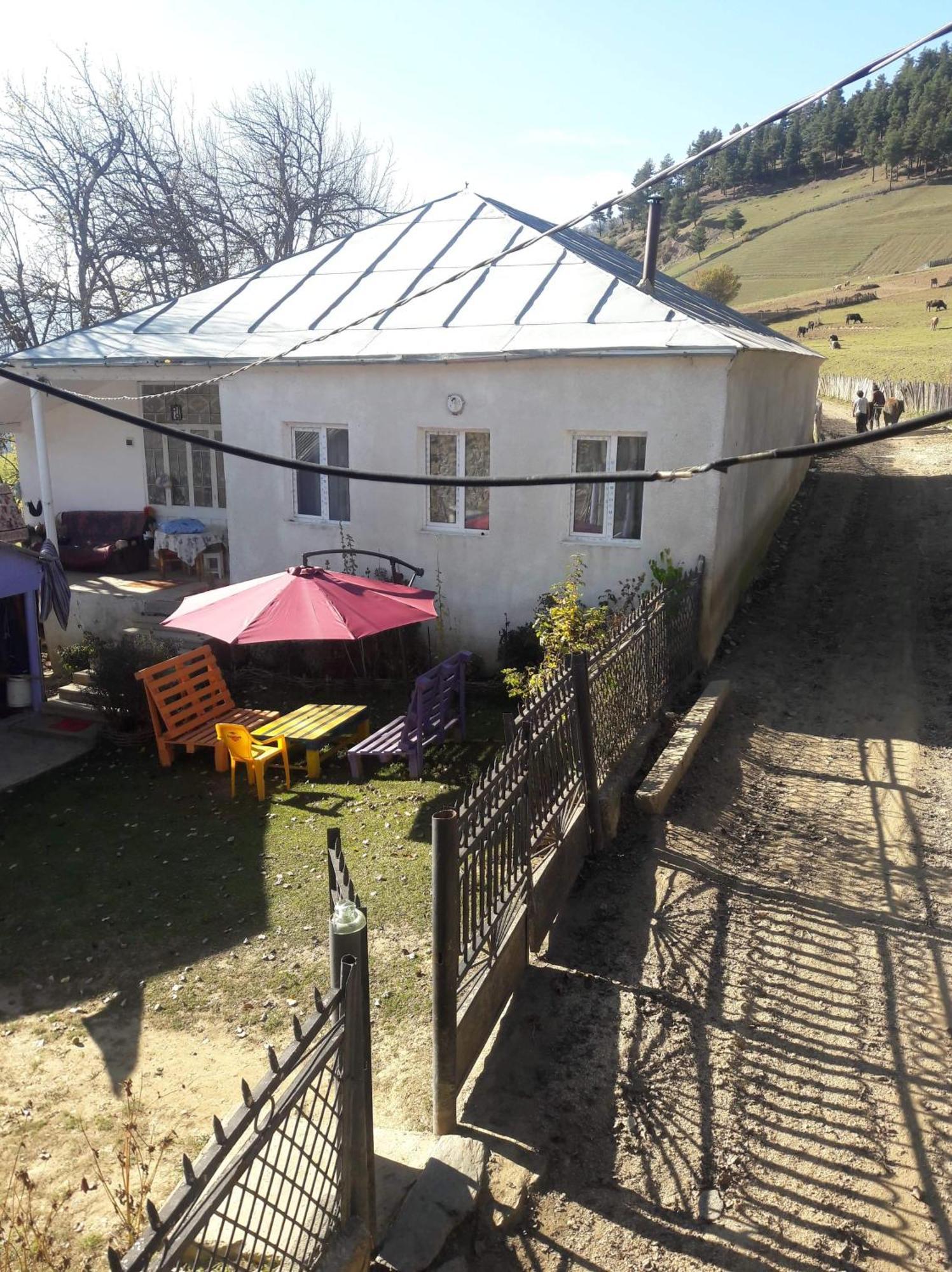 Shorena'S Homestay Tsvirmi Dış mekan fotoğraf