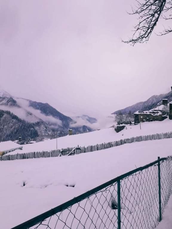 Shorena'S Homestay Tsvirmi Dış mekan fotoğraf