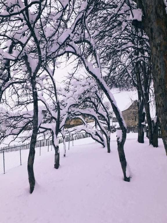 Shorena'S Homestay Tsvirmi Dış mekan fotoğraf
